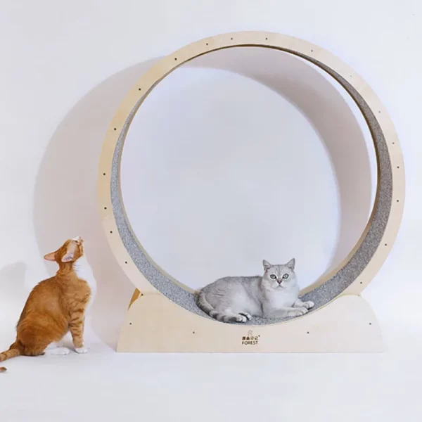 Roue d'exercice chat interactif