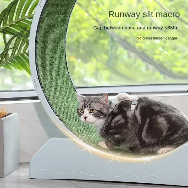 Roue à Chat Silencieuse en bois