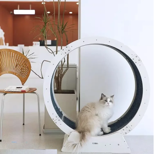 Roue d'Exercice multicouche pour Chat Silencieuse