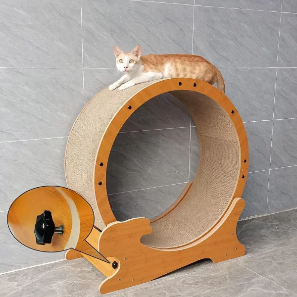 Roue pour Chat Exercice Silencieuse