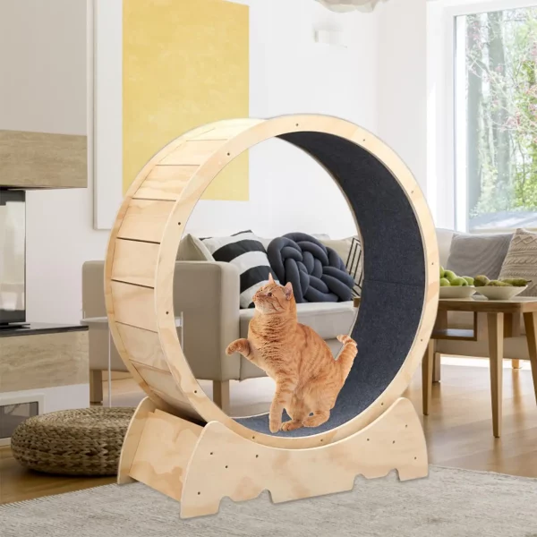 Wooden exercise wheel cat