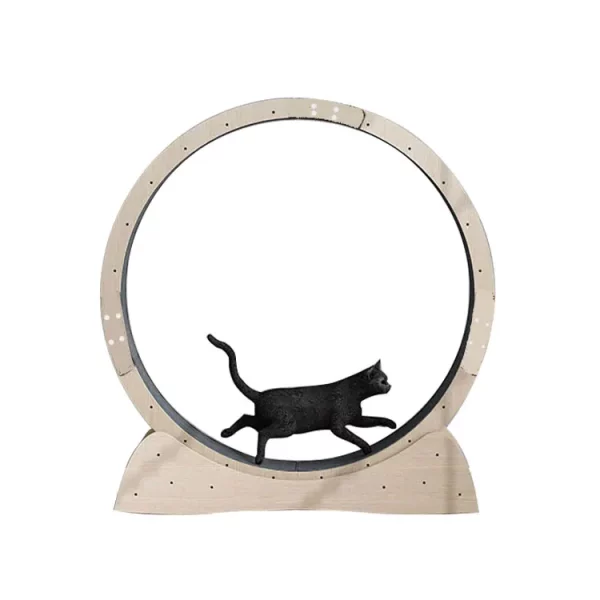 Roue Chat Fitness Silencieuse