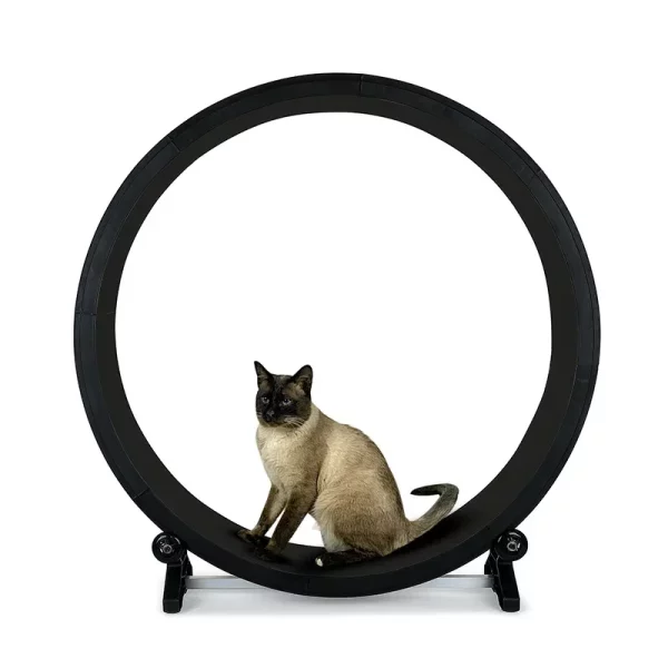 Roue Chat Fitness