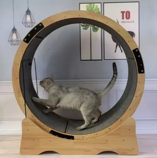 Roue à Chat Rotative