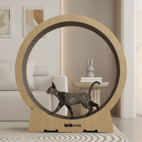 Roue Chat Fitness Premium