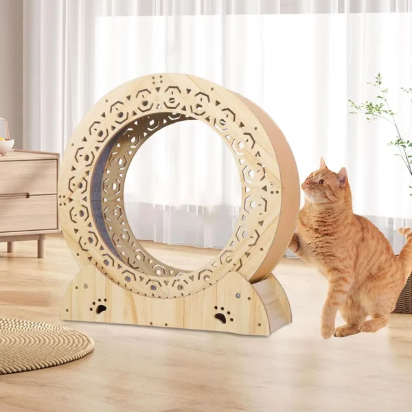 Roue Exercice Chat avec moquette