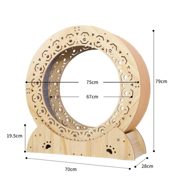 Roue Exercice Chat avec moquette