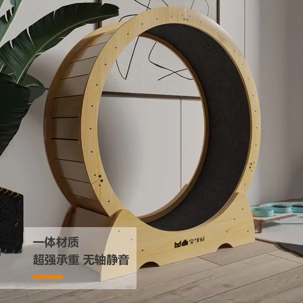 Roue Chat rotative Intérieur