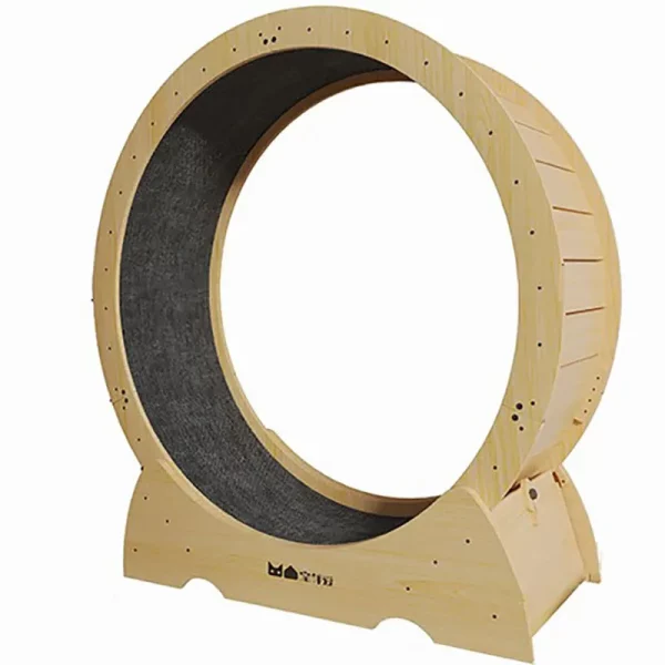 Roue Chat rotative Intérieur