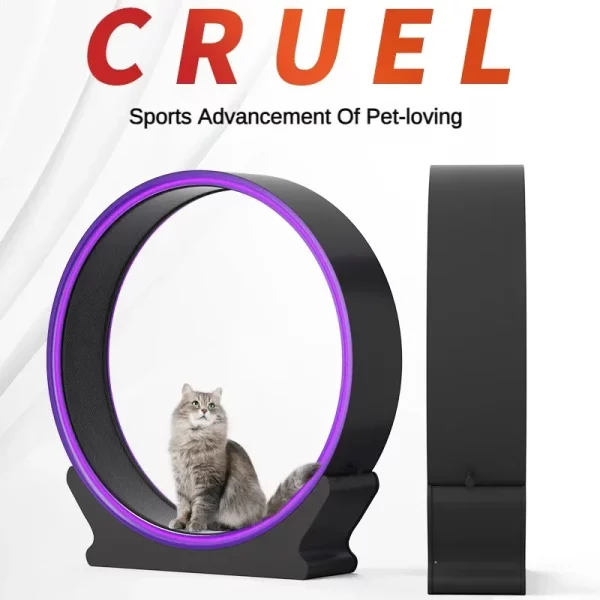 Roue à Chat Fitness