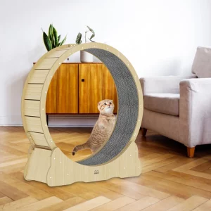 Roue silencieuse d'exercice pour chat