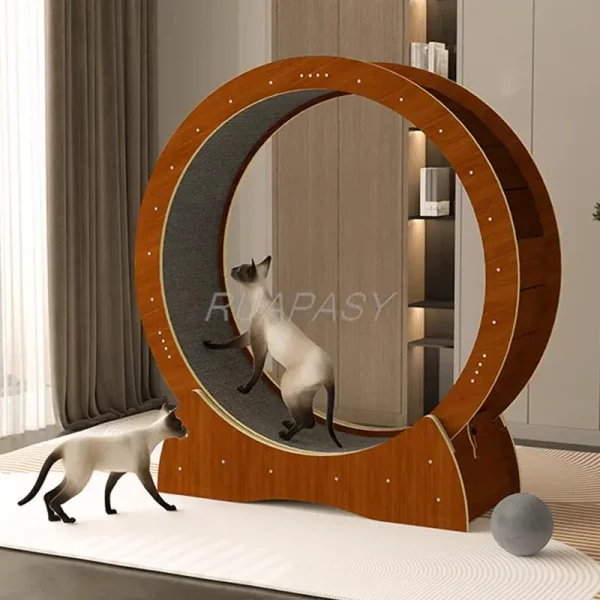 Roue d'exercice pour chat silencieuse