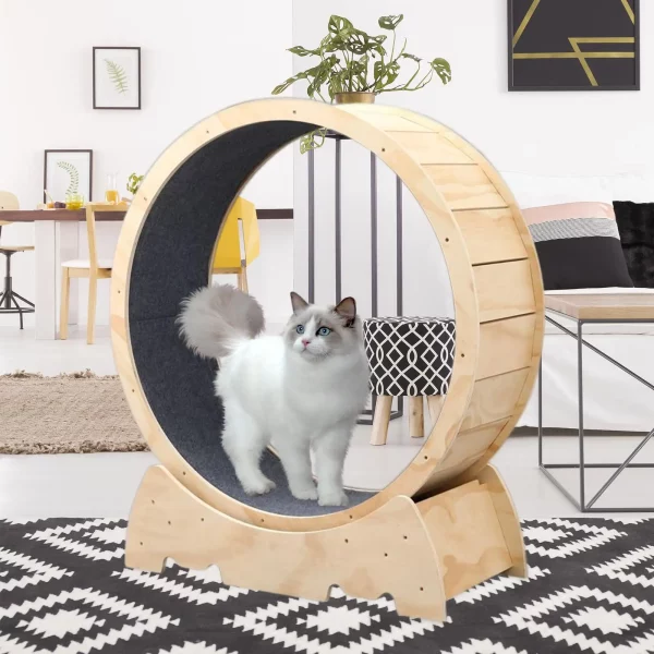 Outdoor cat wheel