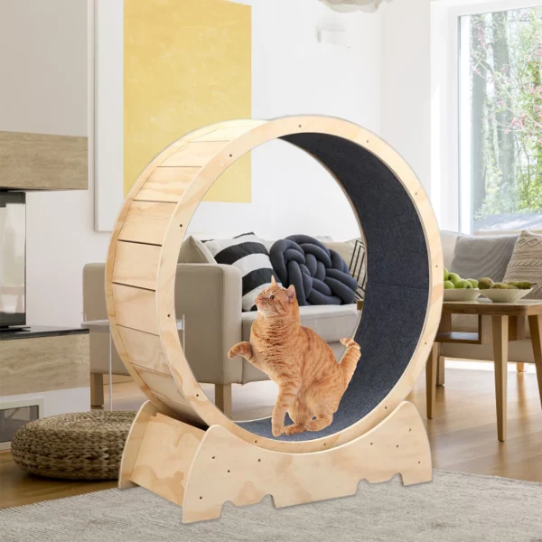 Roue à chat en bois pour entraînement