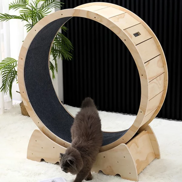 Roue à chat en bois pour entraînement