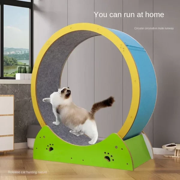 Roue d'Exercice Chat Sportif