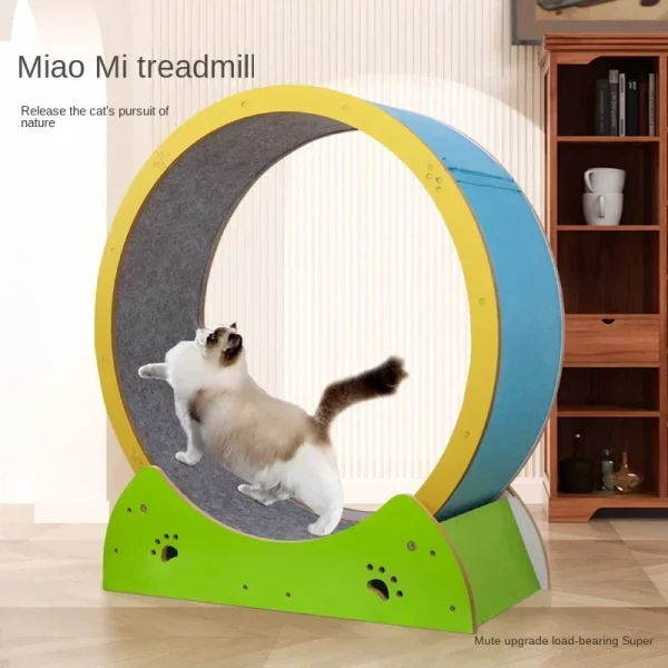 Roue d'Exercice Chat Sportif