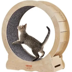 Roue à Chat Exercice et escalade