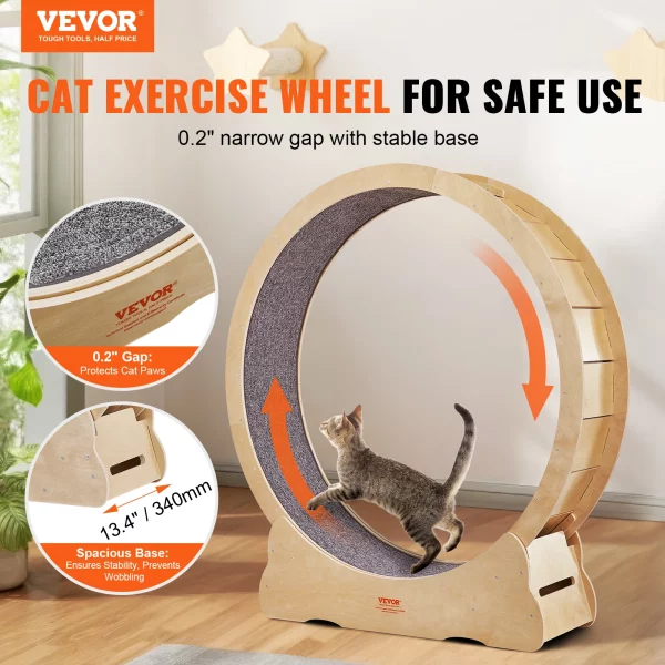 Roue à Chat Fitness course