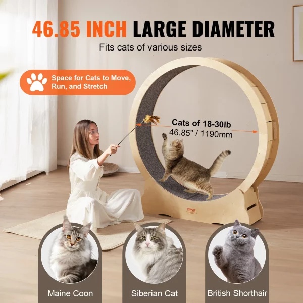 Roue à Chat Fitness course