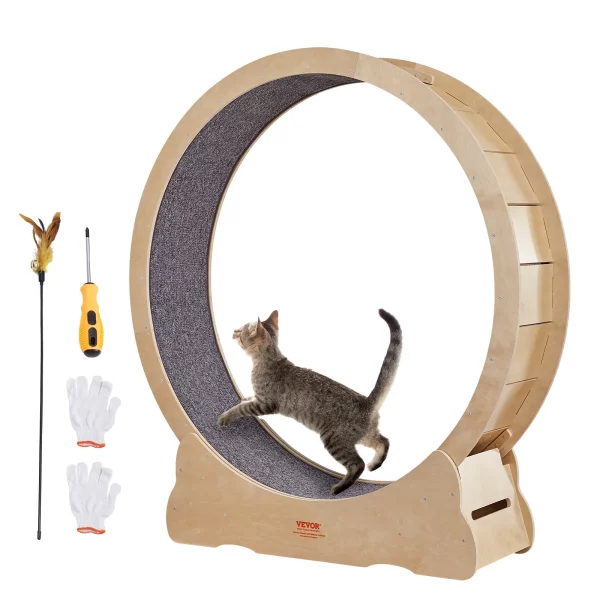 Jouet Roue d'exercice chat silencieuse