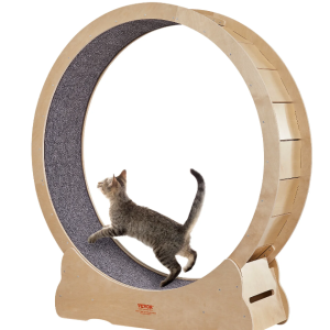 Roue à Chat Fitness course