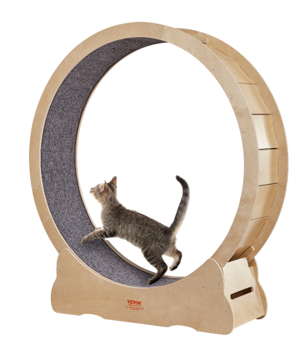 Roue à Chat Fitness course