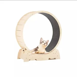 Roue d'exercice roulant pour chat